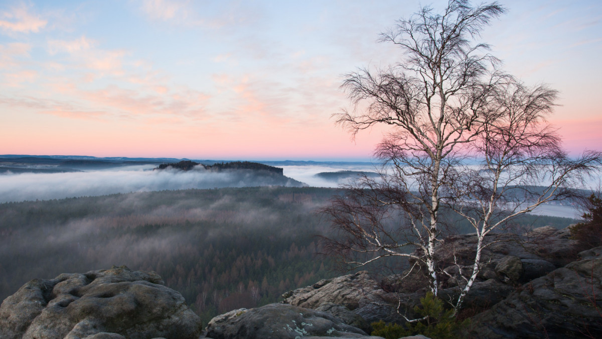 Blick vom Gohrischstein zum Pfaffenstein